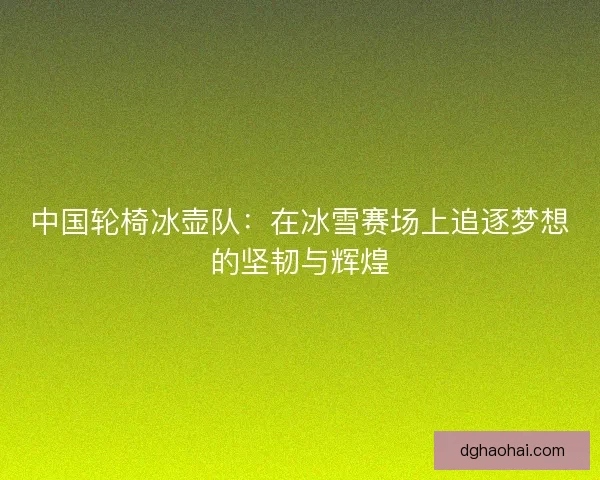 中国轮椅冰壶队：在冰雪赛场上追逐梦想的坚韧与辉煌