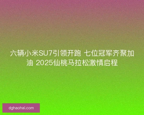 六辆小米SU7引领开跑 七位冠军齐聚加油 2025仙桃马拉松激情启程